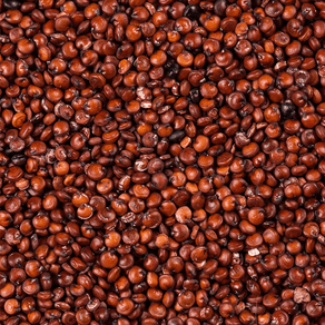 quinoa-vermelha