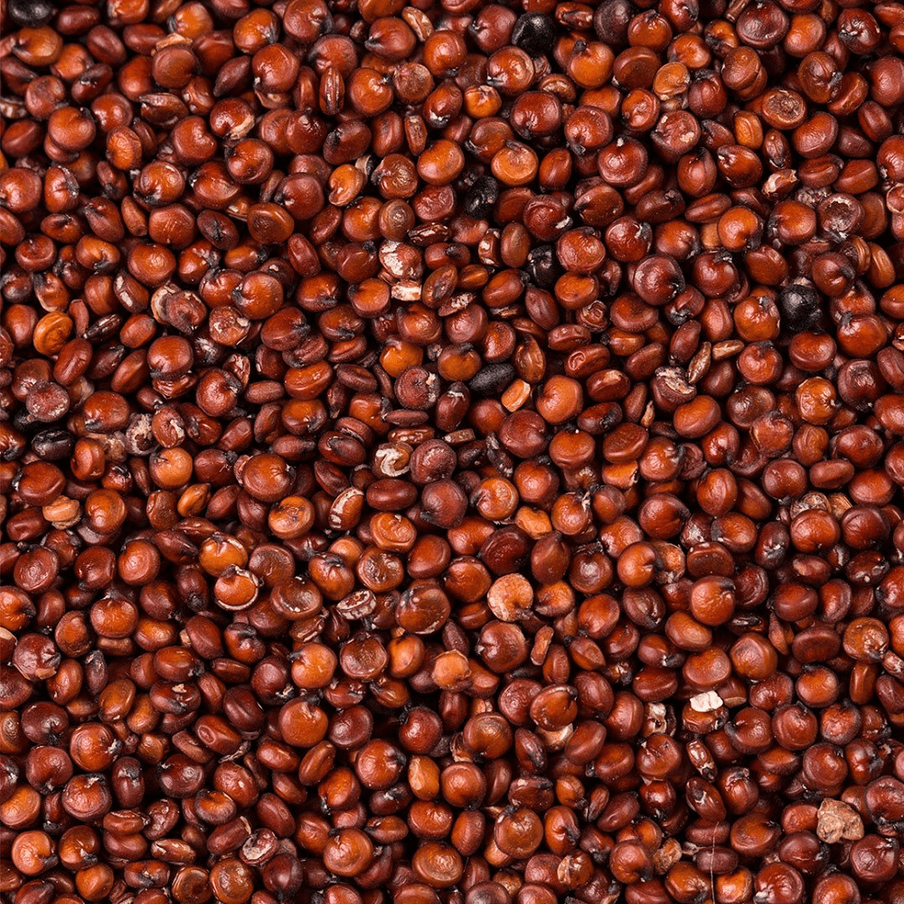 Quinoa Vermelha em Grão 100g