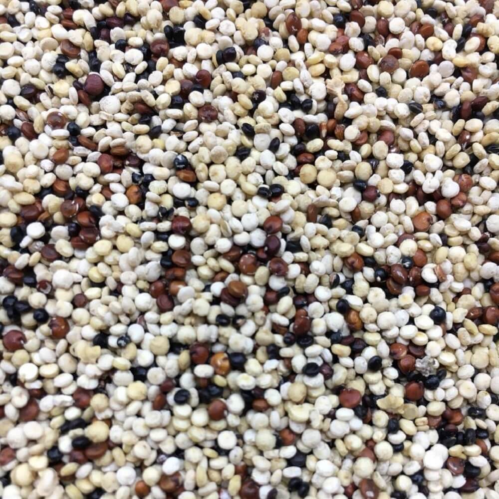 Mix de Quinoa em Grão 100g