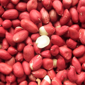 Amendoim-HPS-Vermelho-Cru-500g