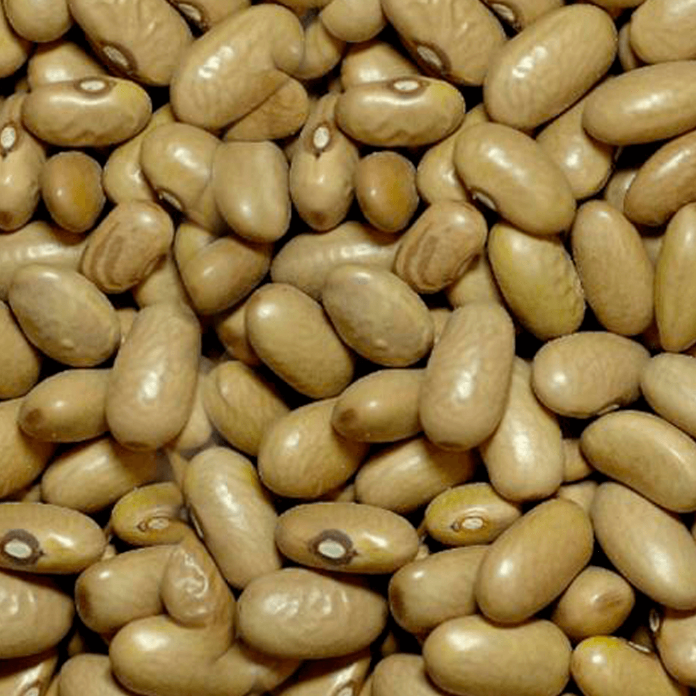 Resultado de imagem para feijão jalo