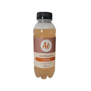 Garrafa-de-kombucha-Ae-sabor-original-com-350-ml
